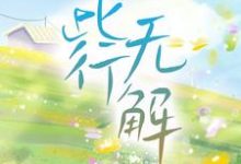 此行无解小说的免费电子版在哪里可以下载或阅读?-艾米文学