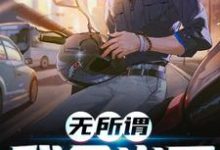 小说《无所谓，我会出手》章节免费阅读-艾米文学