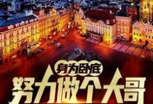 想读白舟的故事,哪里可以免费找到身为卧底,努力做个大哥不过分吧?-艾米文学