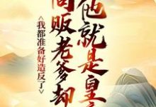 我都准备好造反了，商贩老爹却说他就是皇帝？小说最新章节在哪里可以读到？-艾米文学