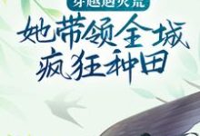 苏婉姝萧慕言为主角的小说叫什么?免费看穿越遇灾荒,她带领全城疯狂种田-艾米文学