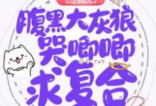 回城后，腹黑大灰狼哭唧唧求复合这本小说完结了吗？免费查看最新章节-艾米文学