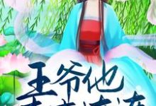 迎娶小福妻后，王爷他喜事连连这本小说完结了吗？免费查看最新章节-艾米文学