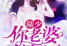 已完结小说《陆少，你老婆又绿你了》章节在线阅读-艾米文学