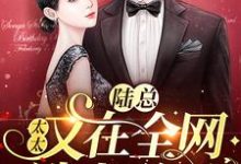 陆辞简溪为主角的小说陆总，太太又在全网选老公了在线阅读-艾米文学