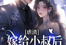 虐渣：嫁给小叔后，渣男疯了这本小说怎么样？免费在线阅读试试-艾米文学