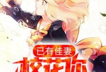 求顾辰时小说免费资源-艾米文学