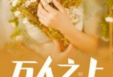 完结版《万人之上》免费阅读-艾米文学