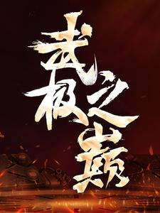 武极之巅小说，武极之巅免费阅读