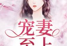 叶晴穆子琛为主角的小说叫什么?免费看宠妻至上-艾米文学