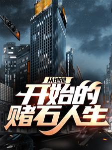 主角叫王屿杜远小说从地摊开始的赌石人生章节免费阅读