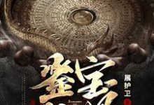 求推荐可以免费阅读鉴宝神眼小说的网站-艾米文学