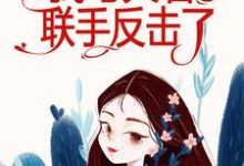 极品婆婆太能作,我与夫君联手反击了小说无弹窗阅读的网站推荐-艾米文学