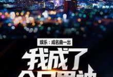 已完结小说《娱乐:成名曲一出,我成了全民男神》最新章节-艾米文学
