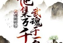 武魂破碎后,他集万千武魂于一身免费阅读,武魂破碎后,他集万千武魂于一身章节在线阅读-艾米文学