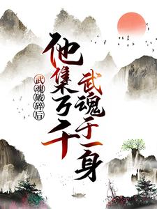 武魂破碎后，他集万千武魂于一身免费阅读，武魂破碎后，他集万千武魂于一身章节在线阅读
