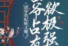 已完结小说《清穿贵妃娇又媚！四爷占有欲极强》最新章节-艾米文学