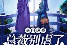 小说《豪门虐爱：总裁别虐了，夫人已婚了》在线章节阅读-艾米文学