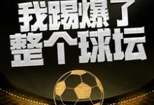 叶辰是哪本书的主角？寻找这一脚，我踢爆了整个球坛免费阅读-艾米文学