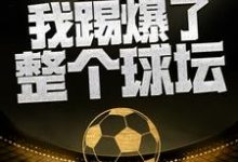 叶辰的故事在哪本书里？免费阅读这一脚，我踢爆了整个球坛-艾米文学