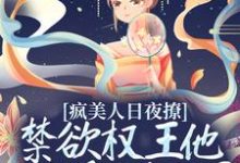 疯美人日夜撩,禁欲权王他为爱洗白了这本小说怎么样?免费在线阅读试试-艾米文学