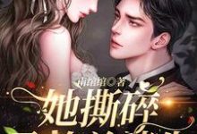 她撕碎孕检单消失，段总终于慌了小说的免费电子版在哪里可以下载或阅读？-艾米文学