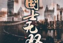 《国士无双》全集免费在线阅读（沈青山储琳）-艾米文学