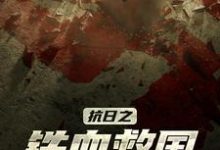 抗日之铁血救国小说完结版章节免费阅读-艾米文学