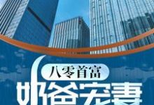 已完结小说《八零首富:奶爸宠妻带娃记》在线章节阅读-艾米文学