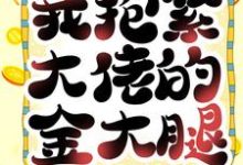哪里能找到重生后,我抱紧大佬的金大腿小说的最新更新和免费章节?-艾米文学