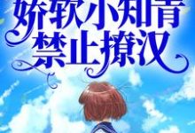 主角叫苏青禾顾承安的小说在哪阅读-艾米文学