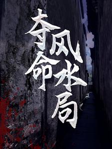 小说《夺命风水局》章节阅读