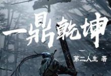 一鼎乾坤小说，一鼎乾坤在线阅读-艾米文学
