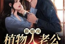 小说《新婚夜，植物人老公突然亲我》在线章节阅读-艾米文学