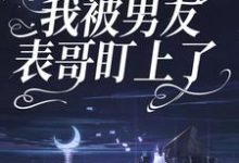小说《因为彩礼,我被男友表哥盯上了》章节免费阅读-艾米文学