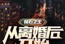 赌石之王从离婚后开始这本小说在哪里可以看？哪里有免费试读章节？-艾米文学