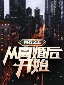 赌石之王从离婚后开始这本小说在哪里可以看？哪里有免费试读章节？