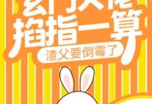 玄门大佬掐指一算，渣父要倒霉了小说的免费阅读版本在哪里可以找到？-艾米文学