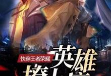 快穿王者荣耀：英雄，撩上瘾小说全文阅读需要付费吗？寻找免费资源-艾米文学