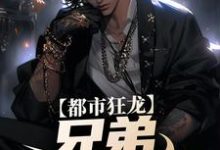 都市狂龙：兄弟，哥罩着你！小说，都市狂龙：兄弟，哥罩着你！在线阅读-艾米文学