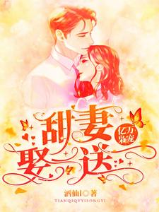 亿万枭宠：甜妻娶一送一慕然龙烨琛，亿万枭宠：甜妻娶一送一章节在线阅读