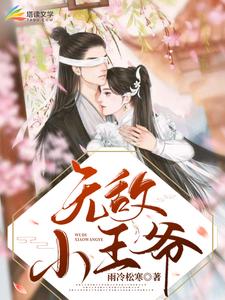 无敌小王爷章节免费在线阅读，赵佖木婉清完结版