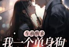 车祸醒来，我一个单身狗有了娃？免费阅读，车祸醒来，我一个单身狗有了娃？章节目录-艾米文学