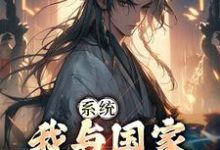 小说《系统:我与国家共享气运》章节免费阅读-艾米文学