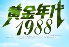 钟援朝钟局是哪本书的主角？寻找黄金年代1988免费阅读-艾米文学
