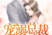 求宠溺总裁的神秘妻小说的全文免费阅读链接-艾米文学