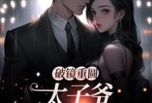破镜重圆：太子爷他太霸道免费阅读，破镜重圆：太子爷他太霸道章节目录-艾米文学