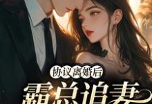 协议离婚后，霸总追妻火葬场小说，协议离婚后，霸总追妻火葬场姜见星周丞-艾米文学