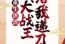 沐倾城凤焱是哪本书的主角?寻找我重生虐渣,忠犬战王给我递刀免费阅读-艾米文学