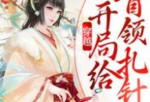 完结版《穿越：开局给首领扎针》章节目录在线阅读-艾米文学